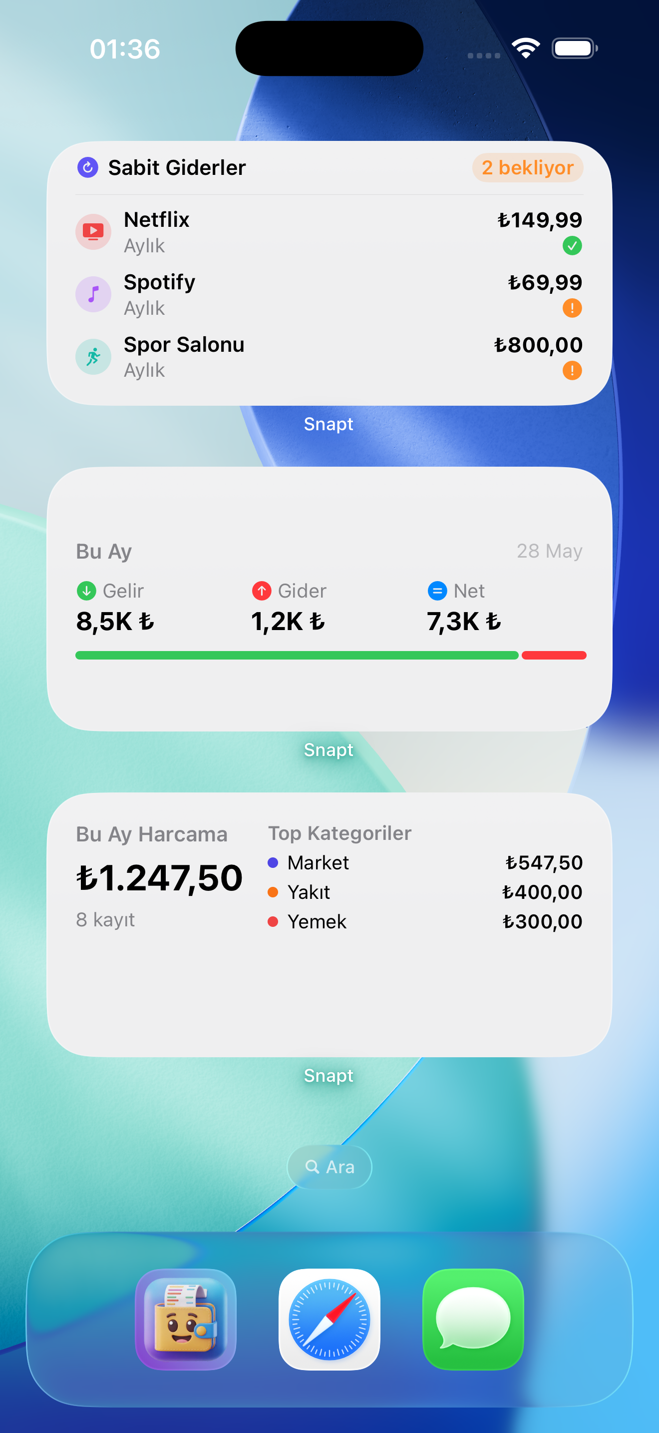 Snapt widget'ları — Aylık Harcama, Gelir/Gider, Sabit Giderler
